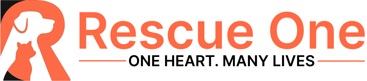 Rescue One