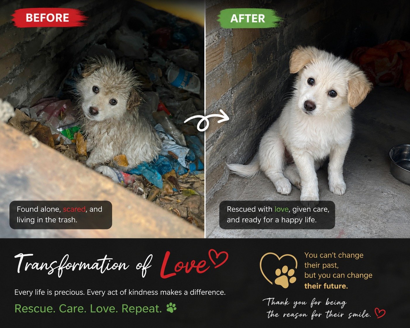 Rescue Story